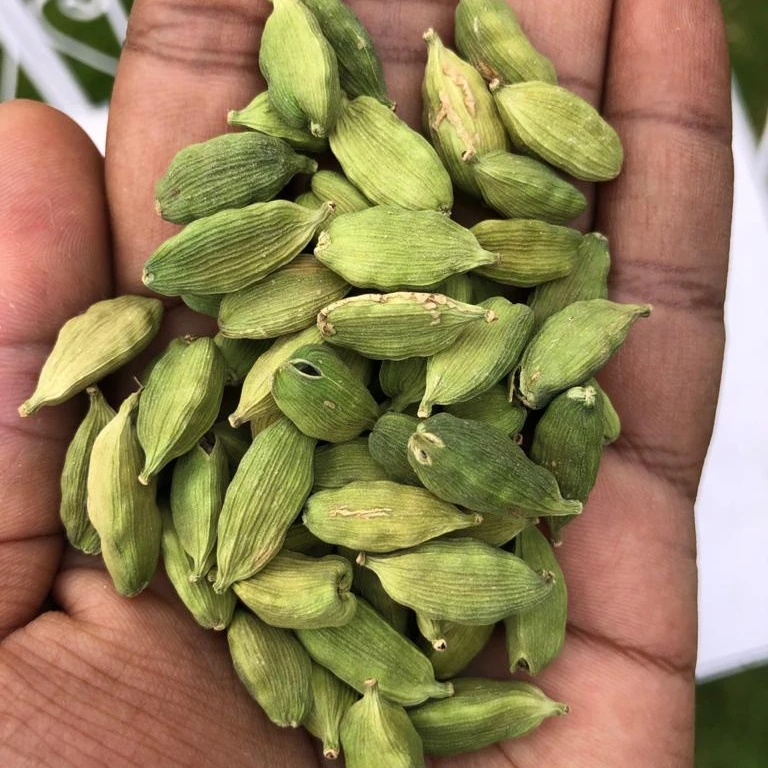 Best Quality Guatemala Green cardamom