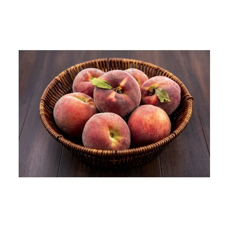 Лучший оптовый продавец свежих персиков доступен здесь свежий запас