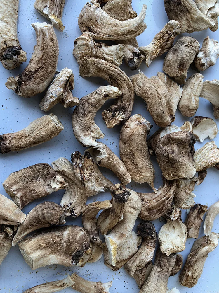 
2 year Japan Raw Cultivated slice shiitake dried mushroom stem 