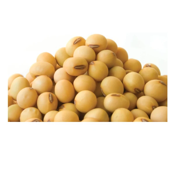 Wholesale Soybean Seeds Non GMO Soybean Seed Price Natural Organic Soybeans Price for Sale