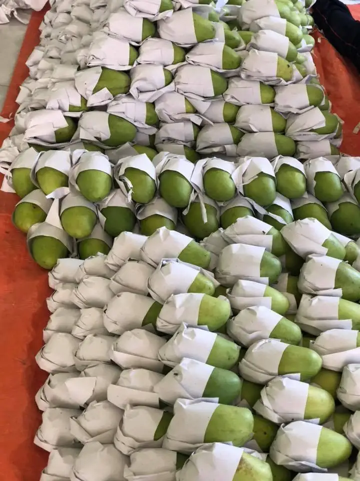 Свежие мангопремиевые качественные манго 100% свежие фрукты-Whatsap 0084 989 322 607