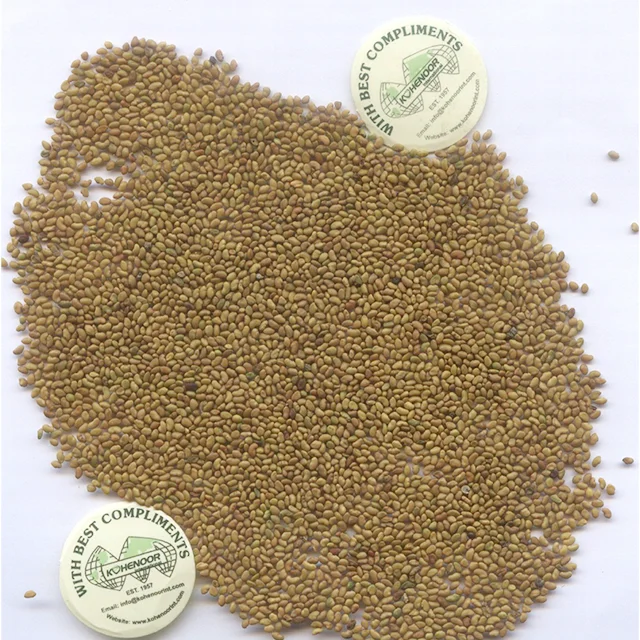 Kohenoor Alfalfa Seeds
