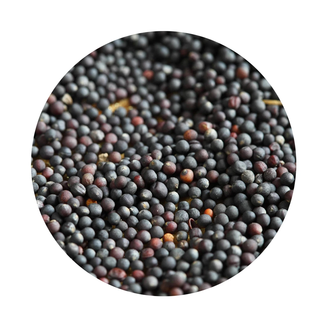 
99.99% Purity Rape Non-GMO Canola Cereal 