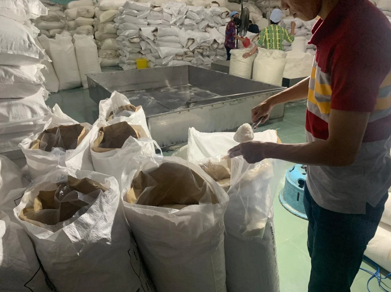 Высокое содержание жира 60-65% масло сушеный кокосовый орех в тонких средних чипсах и хлопьях высушенный пищевой порошок телефон + 84889975133