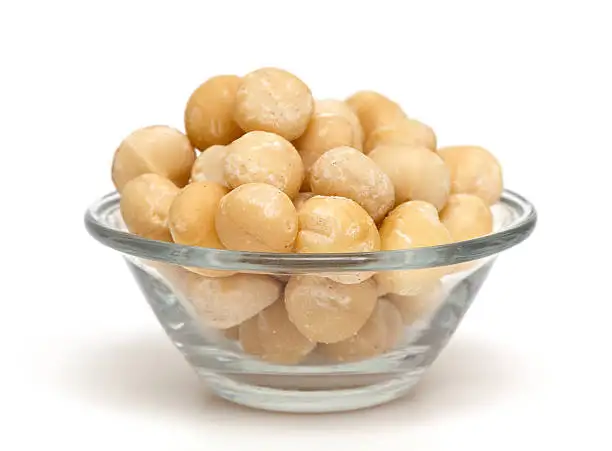 Macadamia 4.jpg