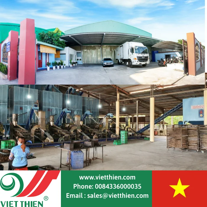 Вьетнамские орехи кешью W240 для экспорта вырастают и обрабатываются в закрытом процессе, отвечающем стандартам безопасности