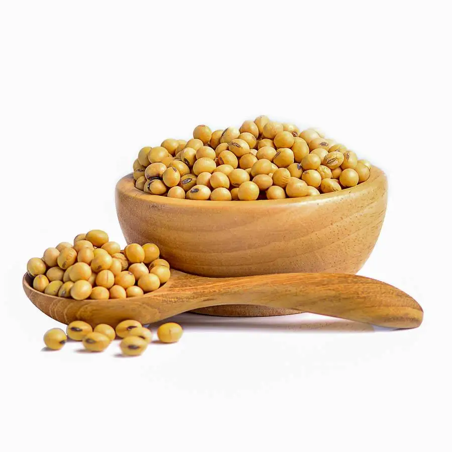 Soybeans ,Non gmo yellow soybean ,soya bean seed