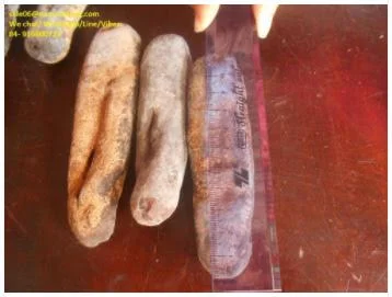 Высококачественный вкусный сушеный морской огурец по низкой цене из Вьетнама/натуральный сухой