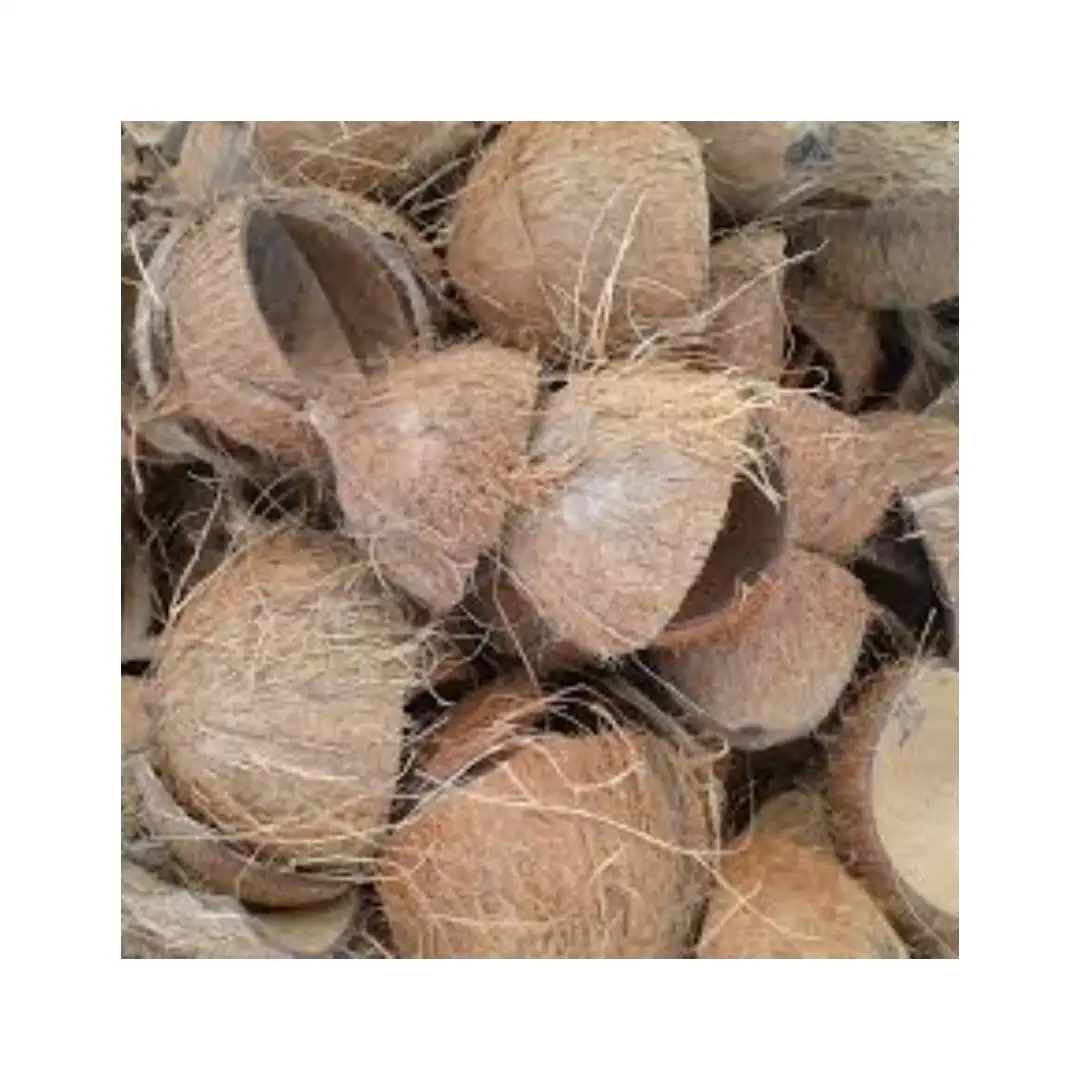 COCONUT SHELL / CRUSHED COCONUT SHELL WITH CHEAP PRICE