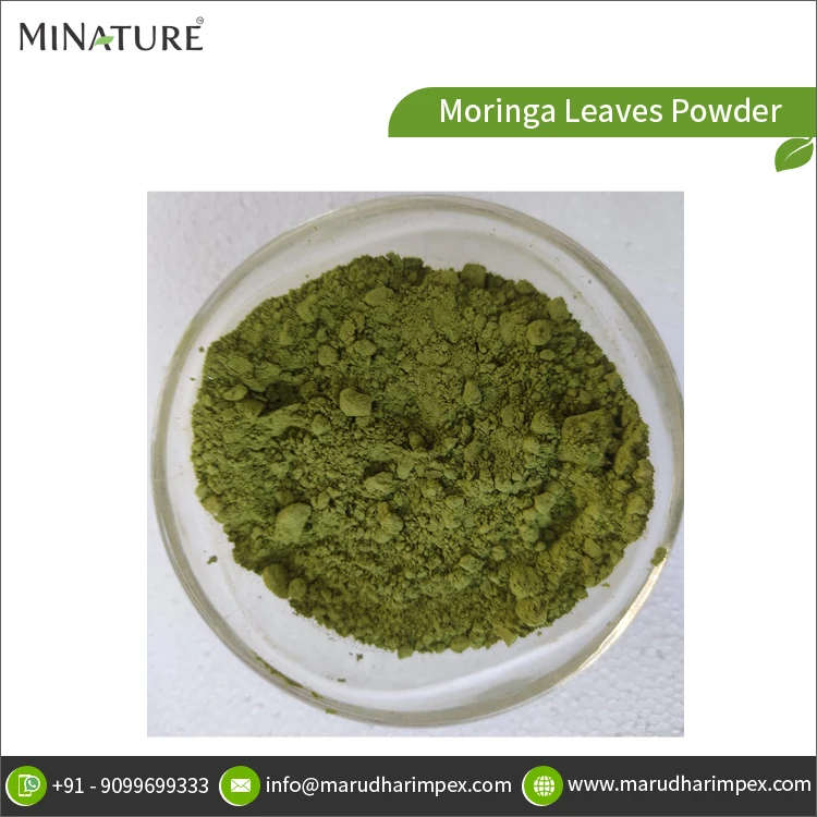 Оптовое количество лидер продаж от производителя фирменная торговая марка хорошее качество чистые и натуральные травяные листья Моринги в