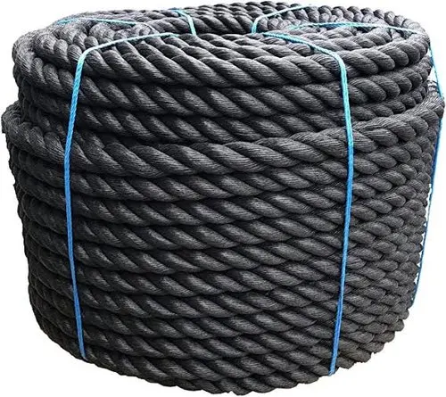 Europe Quality Ropes 3 strand or 4 strand PP Danline Twisted Packaging Rope for fishing net marine Black Polypropylene Rope India Factory