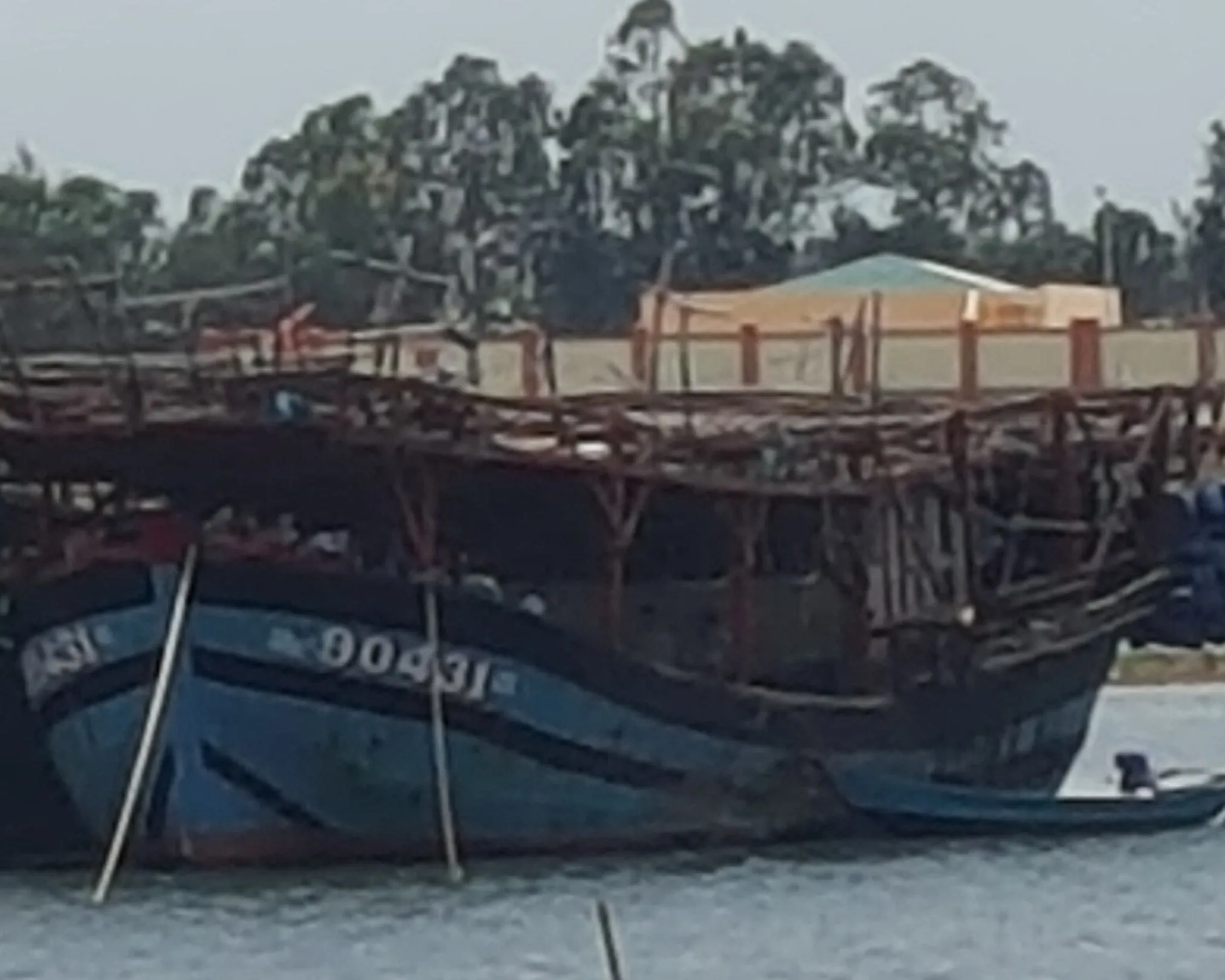 DRIED SQUID FOR SALE