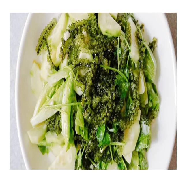 Best seller sea grapes from Vietnam with attractive dishes for children