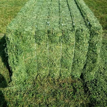 
High Quality 100% Alfalfa Hay Bales and Alfalfa Pellets for Animal Feed 