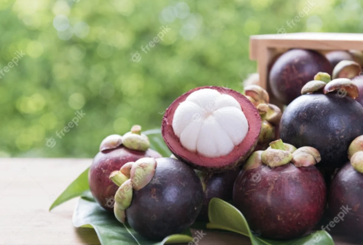 Fresh Natural MANGOSTEEN Premium Grade From Thailand