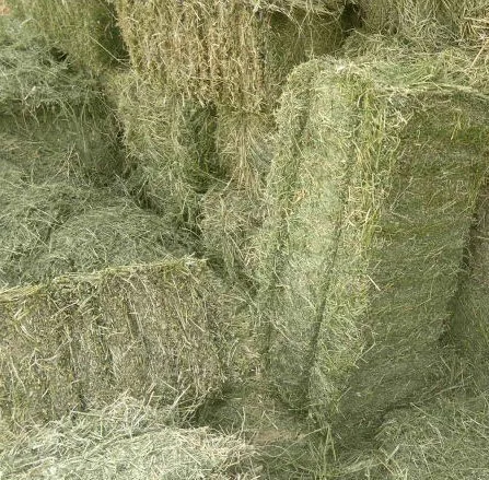 Высококачественный высококачественный Альфальфа сено по лучшей цене