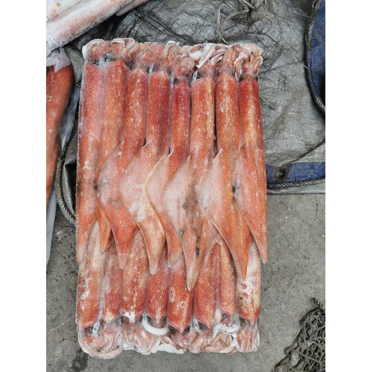 Squid Giant Good Price Frozen Squid