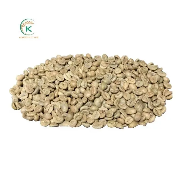 Vietnam Green Bean Coffee Best Price Arabica Beans For Worldwide Importer Raw Coffee Beans Of High Quality.