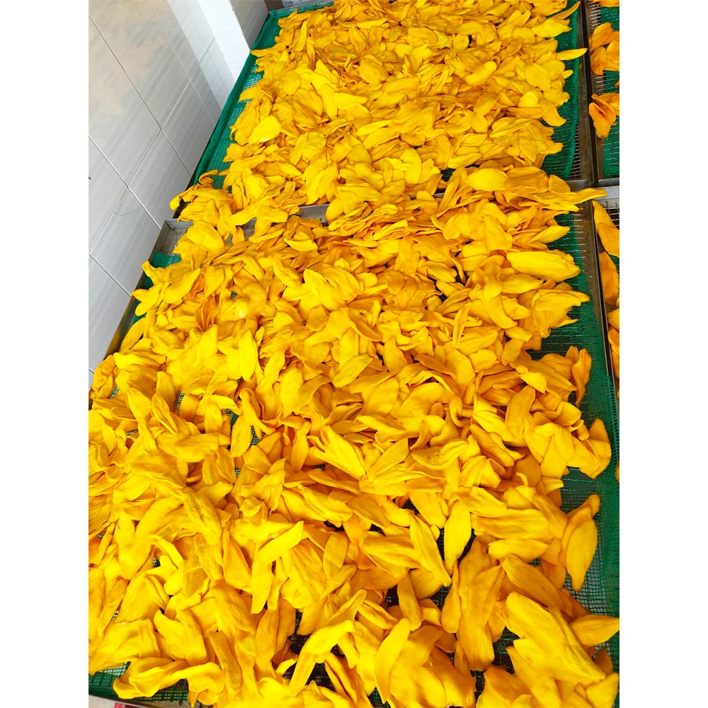 VIETNAM Food And Beverage Mango Healthy Soft Dry Slices Low Sugar Good Taste OEM Packing 100% Natural Dried Mango
