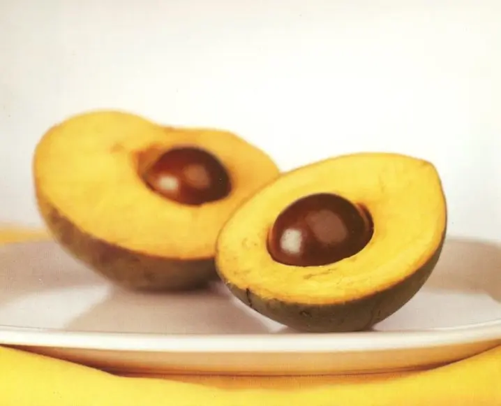 Fresh Lucuma fruit from PERU top Exporter