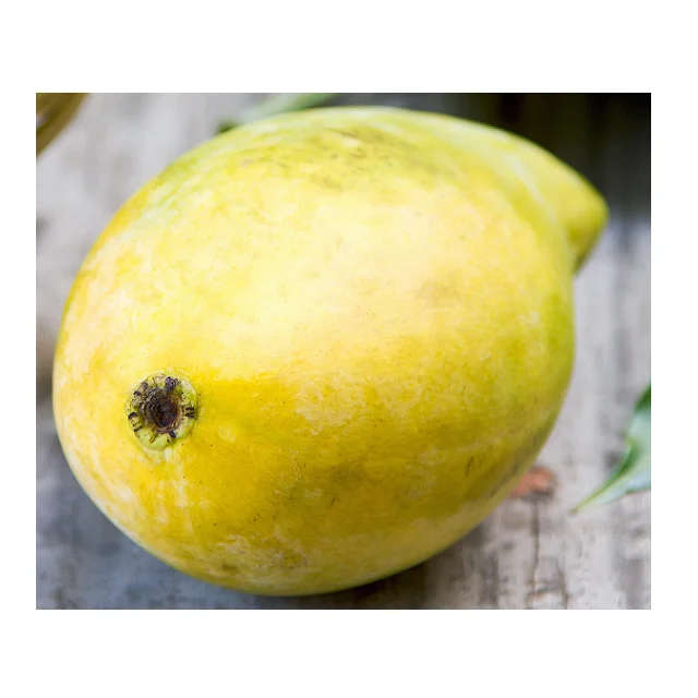 Cheap Wholesale Price Keitt Pakistani Mangoes In Bulk