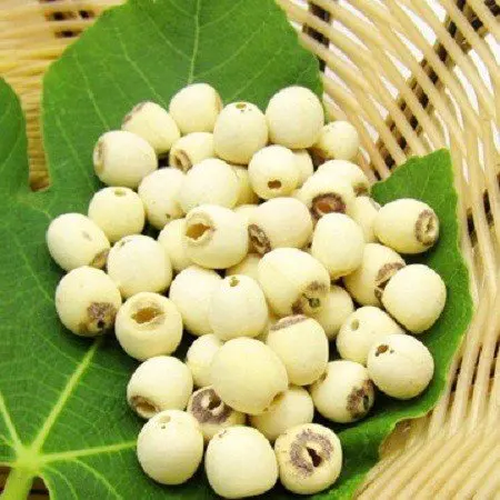 
Dried Lotus seed Vietnam Lotus Seed 100% Natural Dried Lotus Seeds From Viet Nam 