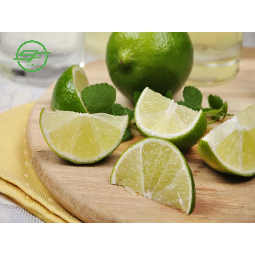 Vietnam Fresh Seedless Lemon (Whatsapp/zalo/wechat: +84 912 964 858)
