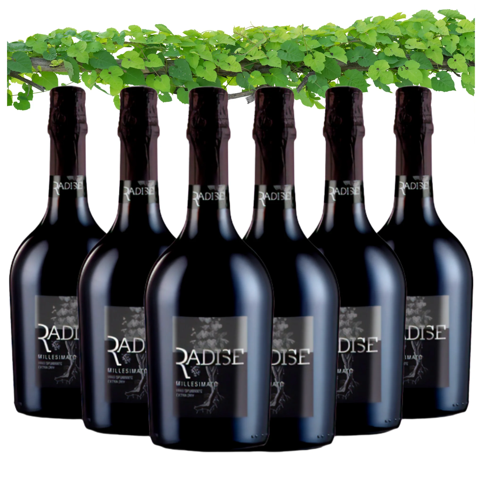 Dropship Sparkling Wine - Italian Spumante Extra Dry Millesimato Radise - Wine bottles 750 ml - Alcohol wine 11% Price for sale