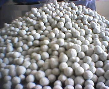 High Quality Premium Chemicals Natural Zeolite From Indonesia For Plant Fertilizer And Fish Or Shrimp Pond