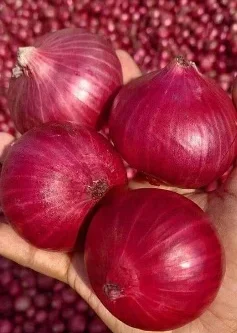 
Fresh Red Onions 