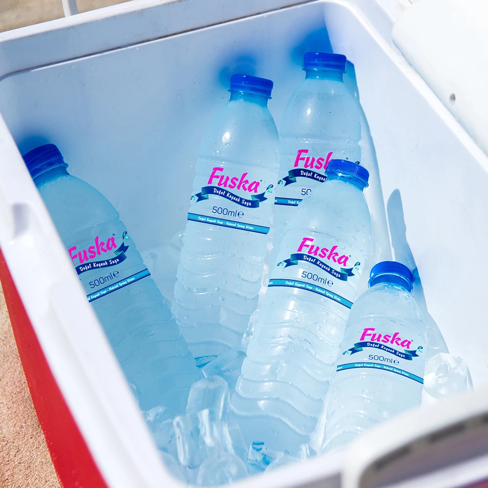 
Pure Water Natural Meneral Spring Water 0,50 lt 