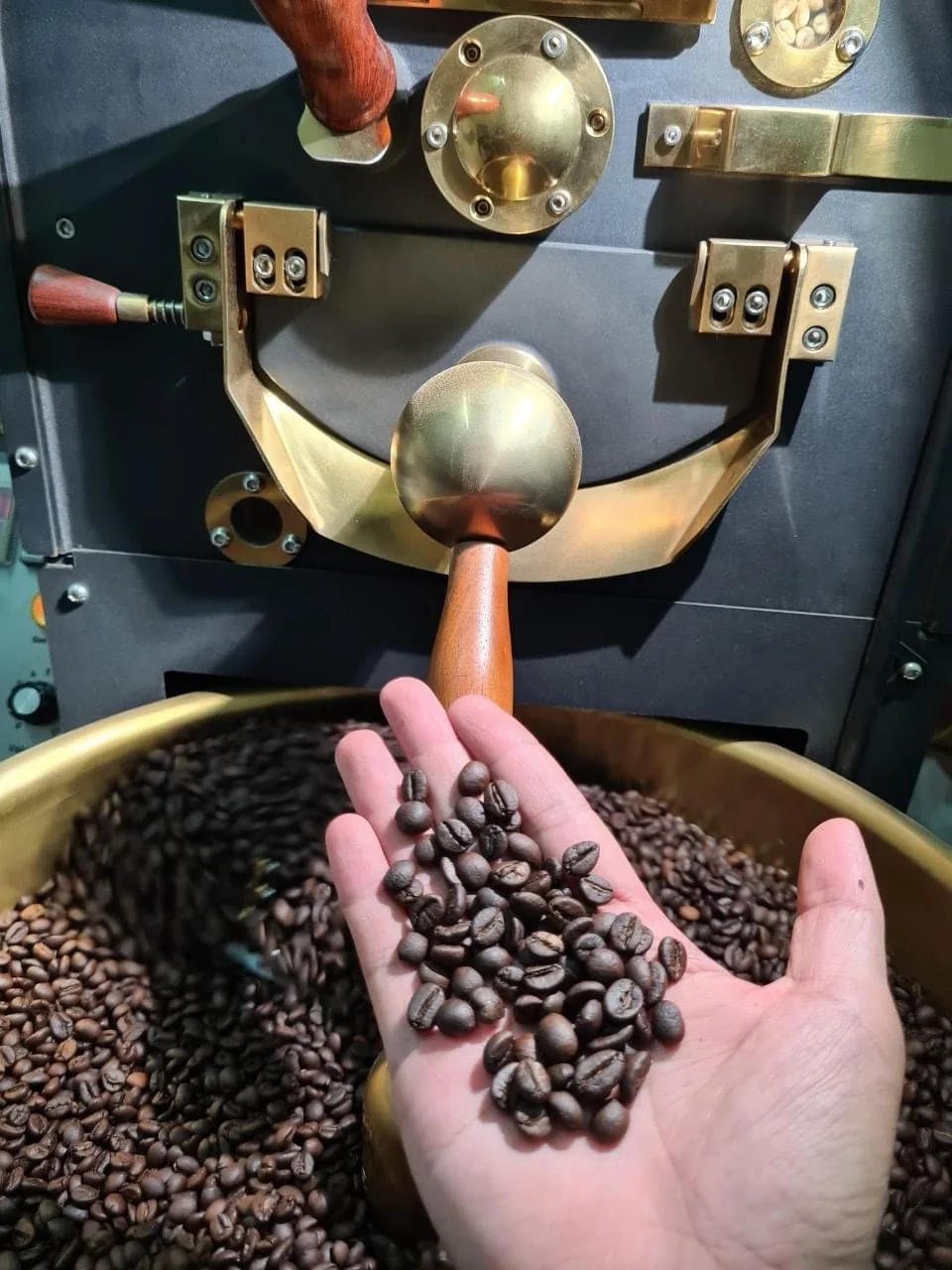 Viet Nam Best Price Coffee Roaster 5kg to 120 Kg with profile Spare Parts Provided Nuts Ordinary Product MD 2.0 X1.0x1.5 (meter)