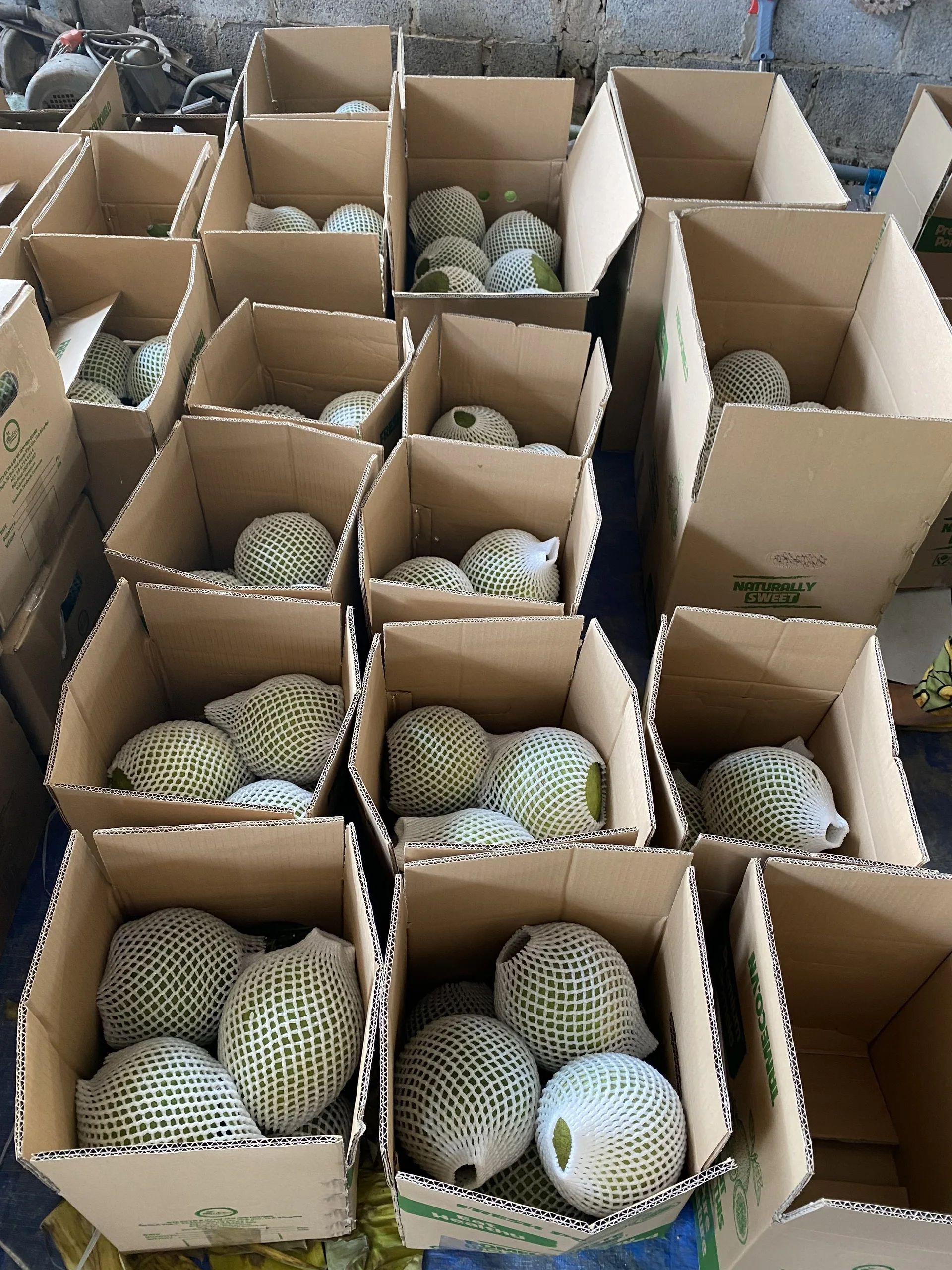 High Quality New Crop Carton Box Packaging Fresh Organic Pomelo Export From Vietnam Manufacturer