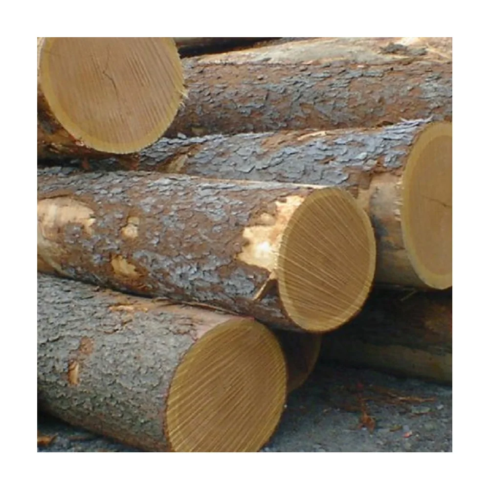 Деревянная древесина сырье всех видов деревянного оборудования высокое качество Лидер продаж