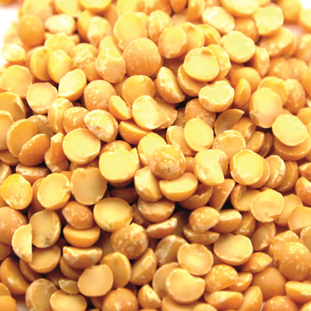 High quality split peas yellow 15/25/50 kg bags or in bulk, in stock