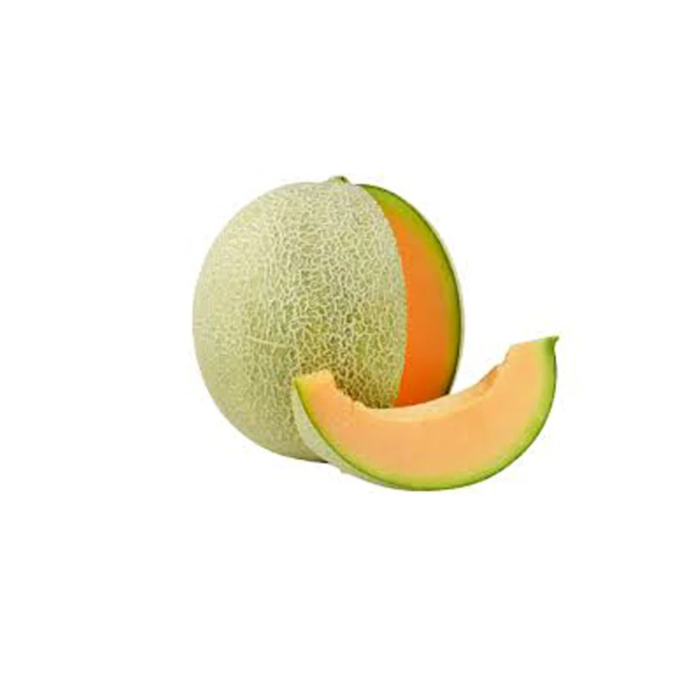 
Organic Fresh Melon , Cantaloupe with premium quality from Vietnam with the cheapest price 