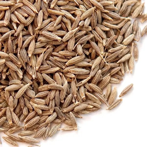 
Premium quality cumin seeds at good price Singapore 