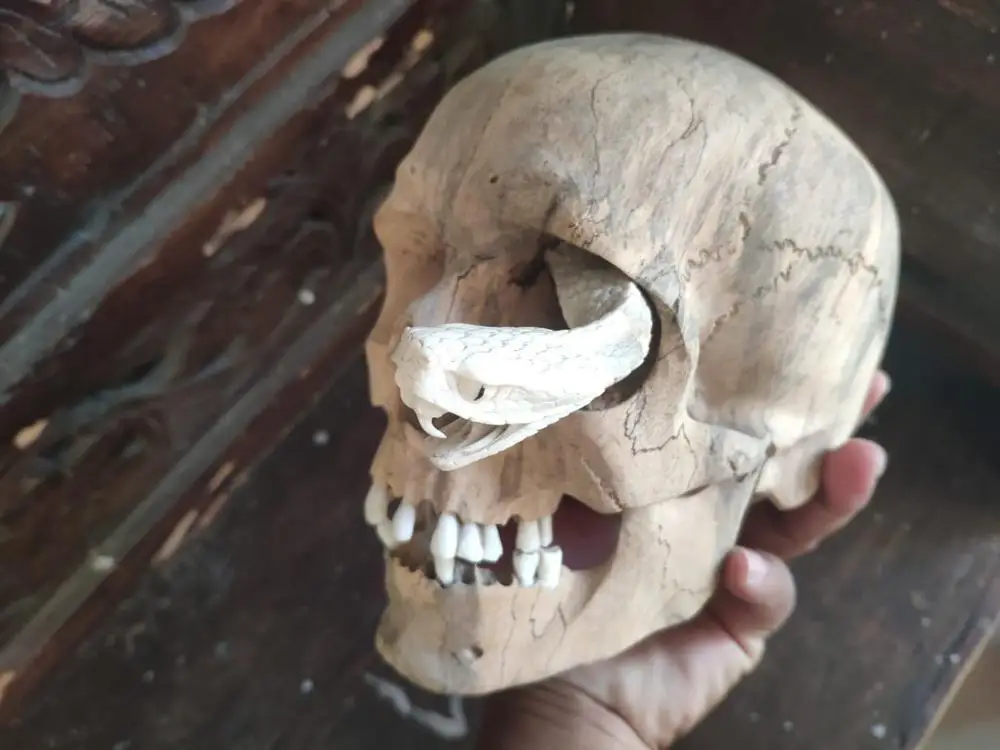 Wood Carving Skulls Antique Bamboo 100% Handmade Carving Art & Collectible Folk Art USA Teak ID;10127097 Figurine Budivis SKULL2