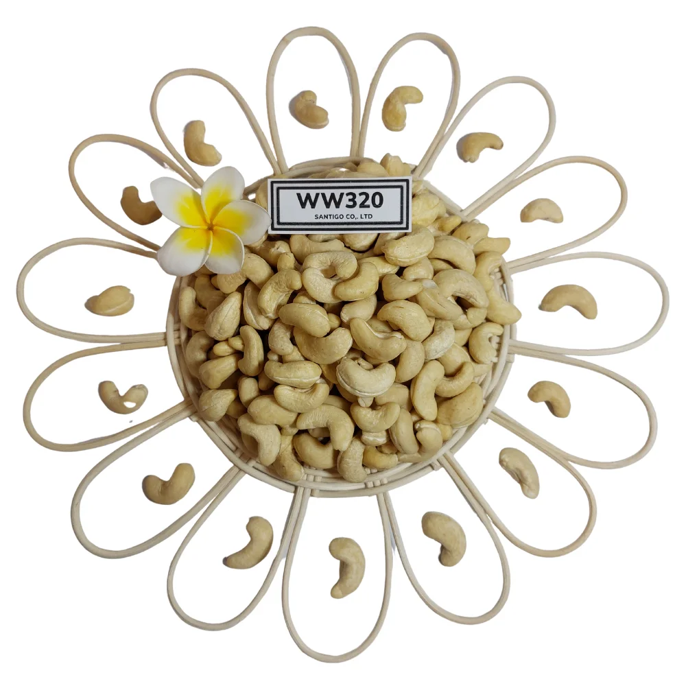 Hot Sale  2022 Cashew Nuts Original Kaju Badam Snack Raw Cashew Nuts