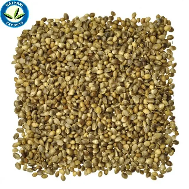 Fresh Hemp Seed Oil/ 100% Organic & Natural Oil