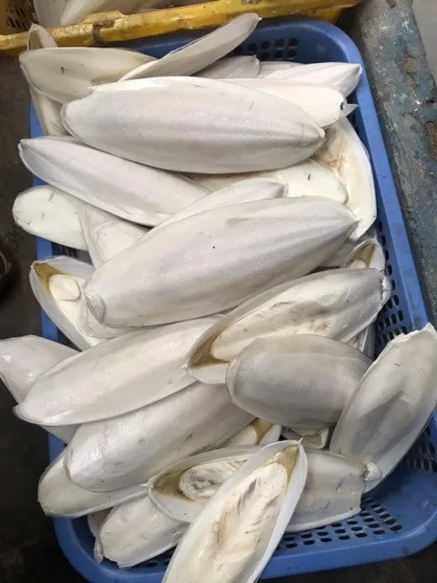 Кости для морской слепки Вьетнам Томас + 84961478592