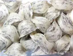 (Mr Nam Bu)-Vietnam Raw/ Refined Bird Nest 100% Pure , Broken Nest Good for Health - Vietnam 100% Pure Beautiful Raw Bird Nest -