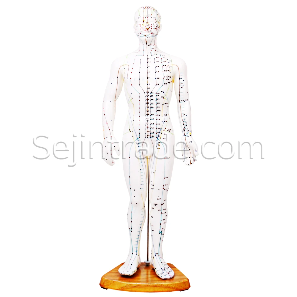 Акупунктурная игла, медицинская анатомическая модель человека, резиновая модель тела 50 см для продажи, массажная клиника, китайская медицинская модель moxa