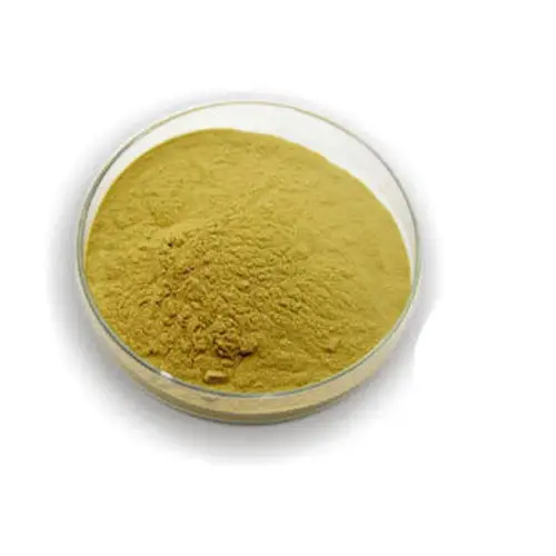 Berberis aristata extract powder Berberine HCL 98% berberine hydrochloride