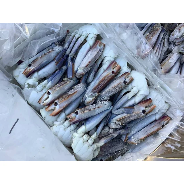 Crabs Frozen Fresh Seafood Premium Products High Quality from Thailand for 100% Export Wholesale ready to ship