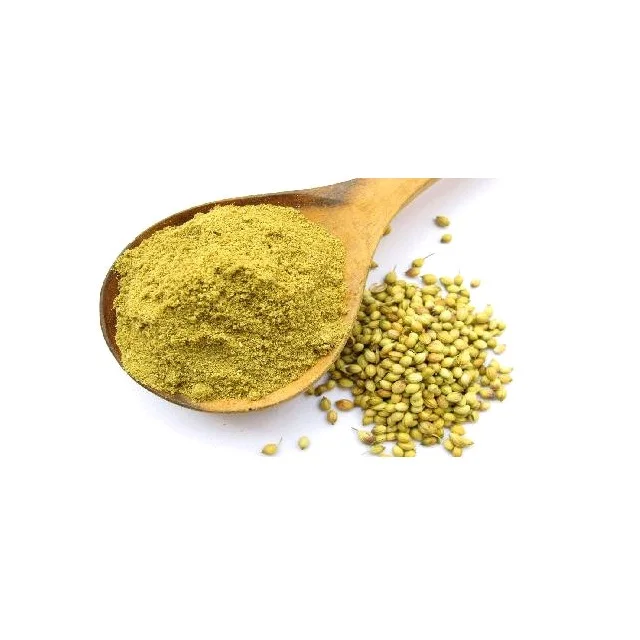 Natural Organic Jeera Powder Masala Cumin Powder Manufacturers Wholesale High Quality Seasoning 100% Natural Spicy