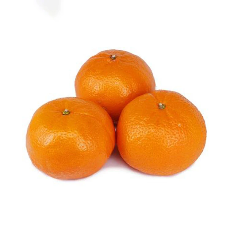 Kinnow Price Pakistan Sargodha Kinnow, Bulk Fresh mandarin orange
