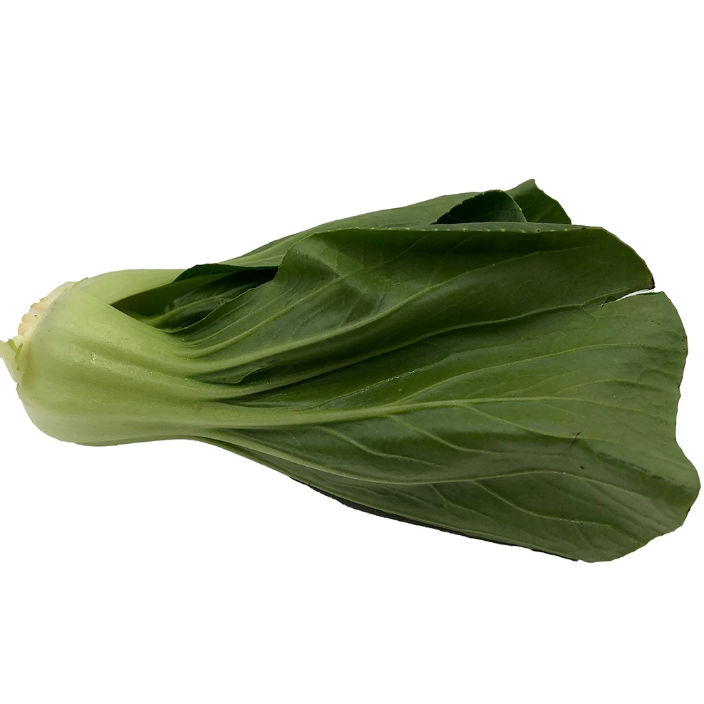 Imported Quality Super Fresh Cheap Price Box Packing Top Grade Selecting Other Fresh Vegetables Pak Choi Ready to Eat