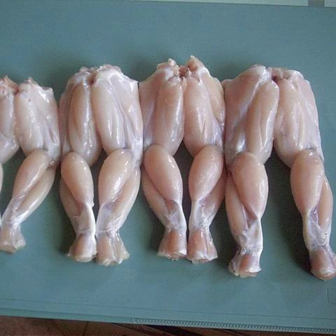 
FROZEN FROG LEGS for sale cheap 