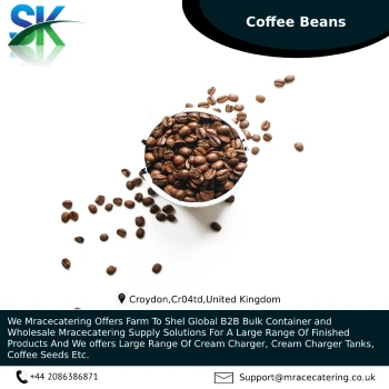 Origin high 100% Best quality palm Coffee Seeds